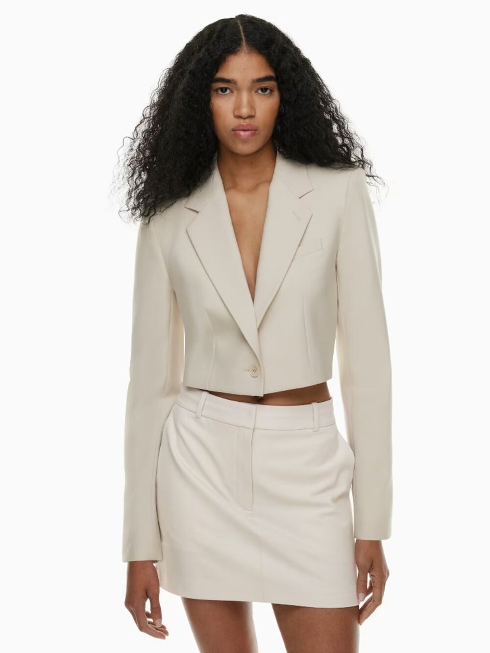 ARITZIA Babaton Arbus Blazer – Size 4